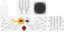 Texture for Ghast