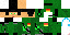 Texture for nicolas878