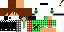 Texture for Steve