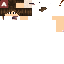 Texture for MoiseiSJ Cabeça