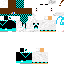 Texture for Griffon