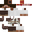 Texture for Librarian