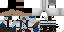 Texture for Assassin