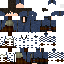 Texture for BarryAllenCW