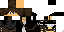 Texture for Blodispick