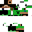 Texture for Steve green