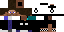 Texture for Steve