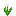 Texture for tulp whit