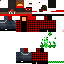 Texture for SneepD