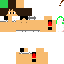 Texture for steve