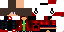 Texture for Stech