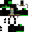Texture for Turtle Jotaro