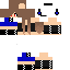 Texture for Steve