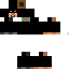 Texture for Endersteve