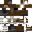 Texture for surv3