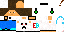 Texture for ErikBag