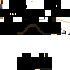 Texture for macostacurta ninja