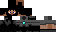 Texture for knight pp
