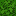 Texture for leafs