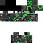 Texture for turtle