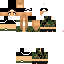 Texture for pikamon
