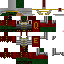 Texture for roman turtle