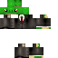 Texture for Turtle 