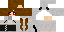 Texture for neko