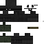 Texture for ds