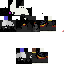 Texture for Ender