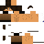 Texture for Steve