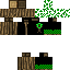 Texture for ds