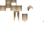 Texture for mesh 1