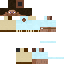Texture for Neomesiis