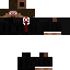 Texture for Steve