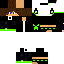 Texture for Steve