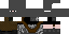 Texture for minion