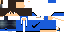 Texture for Pacemon