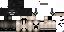 Texture for Wither 