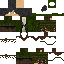 Texture for GreyFox
