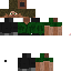 Texture for Sebastian green