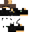 Texture for Steve