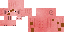 Texture for pig2