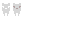 Texture for sgr