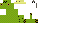Texture for Kakapo