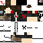 Texture for 21312