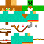 Texture for IRIS2