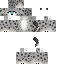 Texture for Snow leopard 2 h.c.