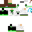 Texture for SimeonRex