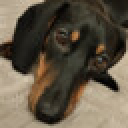 Texture for das